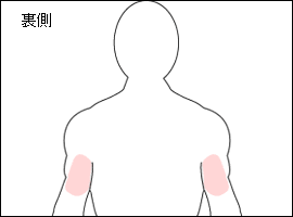 上腕三頭筋の位置図