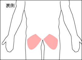 大臀筋の位置図