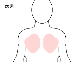 大胸筋の位置図