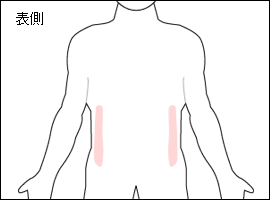 腹斜筋の位置図
