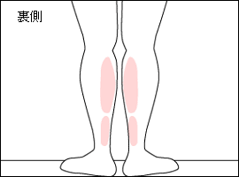 下腿二頭筋の位置図