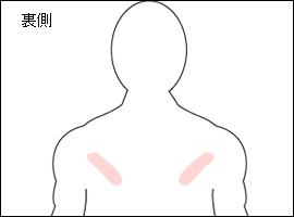 棘下筋の位置図