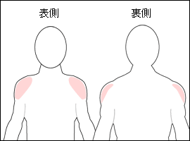 三角筋の位置図