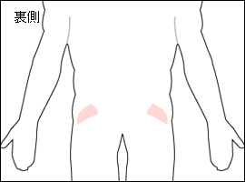 中臀筋の位置図