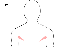 小円筋の位置図