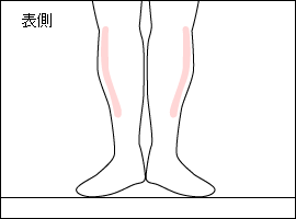 前けい骨筋の位置図