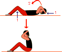 筋トレ方法 - 腹筋図