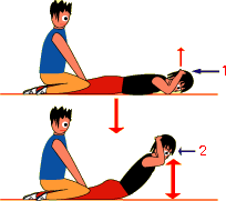 背筋トレーニングの方法 鍛え方