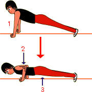 腕立て伏せ図